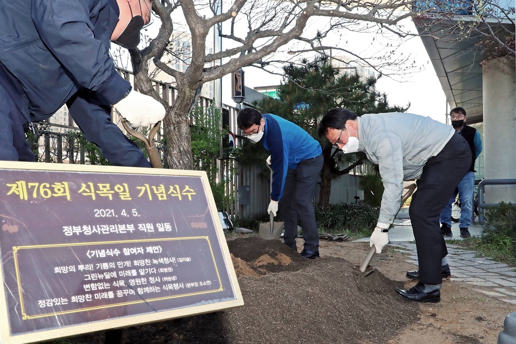 원본 이미지
