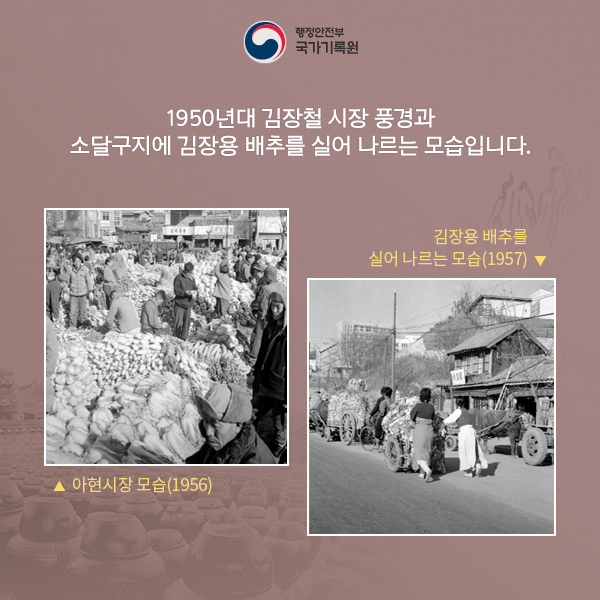 1950년대 김장철 시장 풍경과 소달구지에 김장용 배추를 실어 나르는 모습입니다.