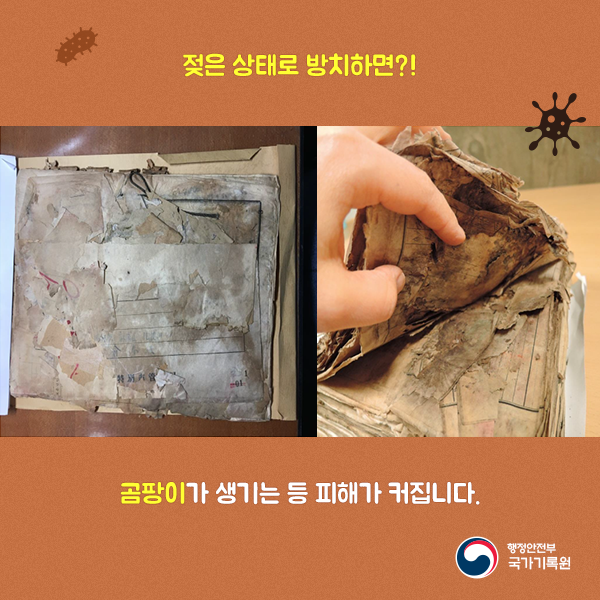 2. 젖은 상태로 방치하면?! 곰팡이가 생기는 등 피해가 커집니다.