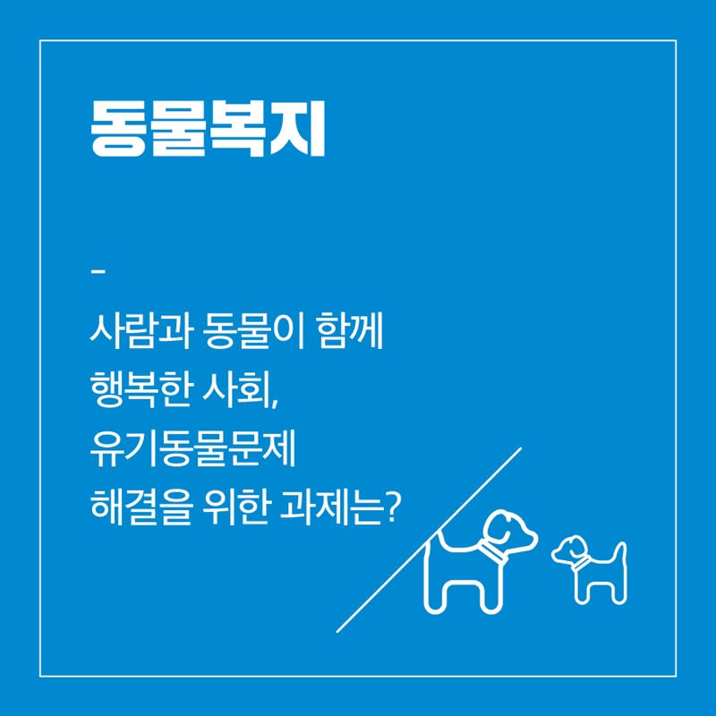 동물복지 사람과 동물이 함께 행복한 사회, 유기동물문제 해결을 위한 과제는?