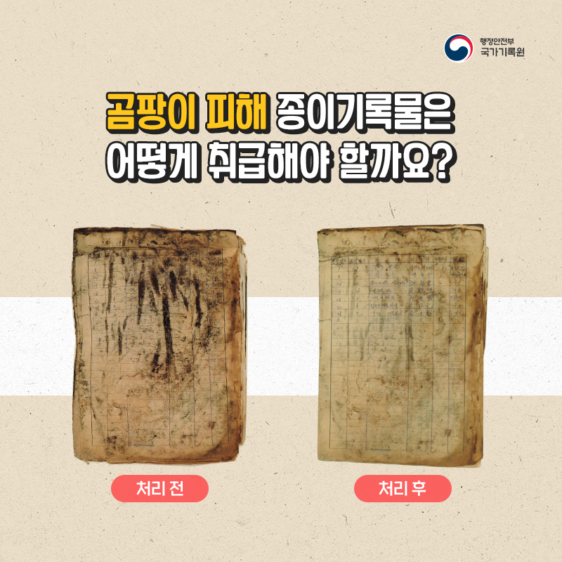 1. 곰팡이 피해 종이기록물은 어떻게 취급해야 할까요?