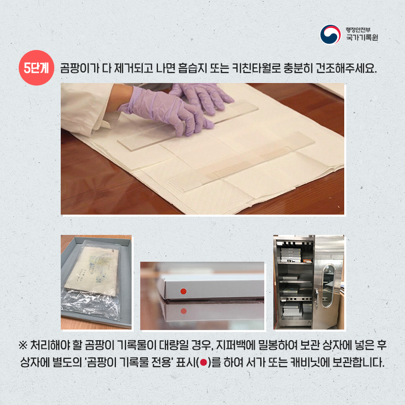 5. 5단계 : 곰팡이가 다 제거되고 나면 흡습지 또는 키친타월로 충분히 건조해주세요. * 처리해야 할 곰팡이 기록물이 대량일 경우, 지퍼백에 밀봉하여 보관 상자에 넣은 후 상자에 별도의 '곰팡이 기록물 전용' 표시를 하여 서가 또는 캐비닛에 보관합니다.