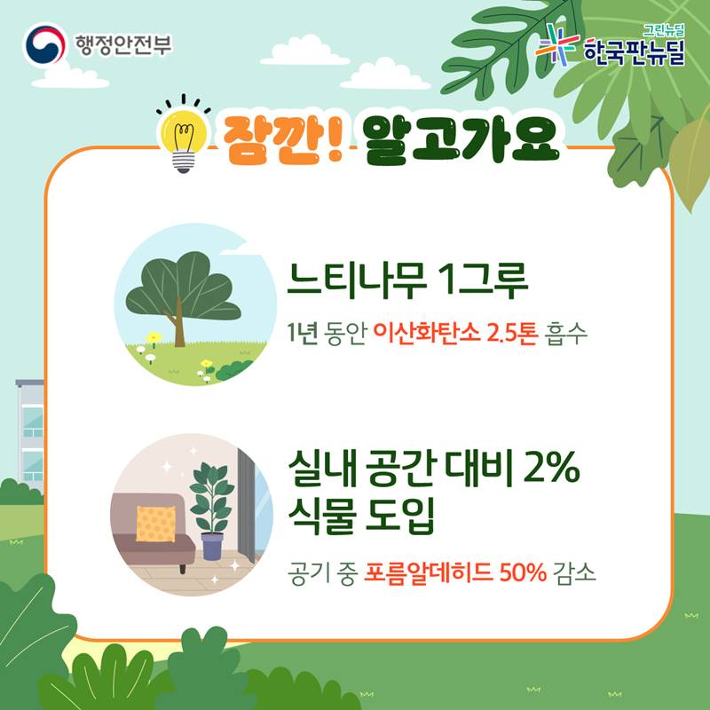 잠깐! 알고 가요  느티나무 1그루 1년동안 이상화탄소 2.5톤 흡수  실내공간 대비 2% 식물 도입 공기 중 포름알데히드 50% 감소