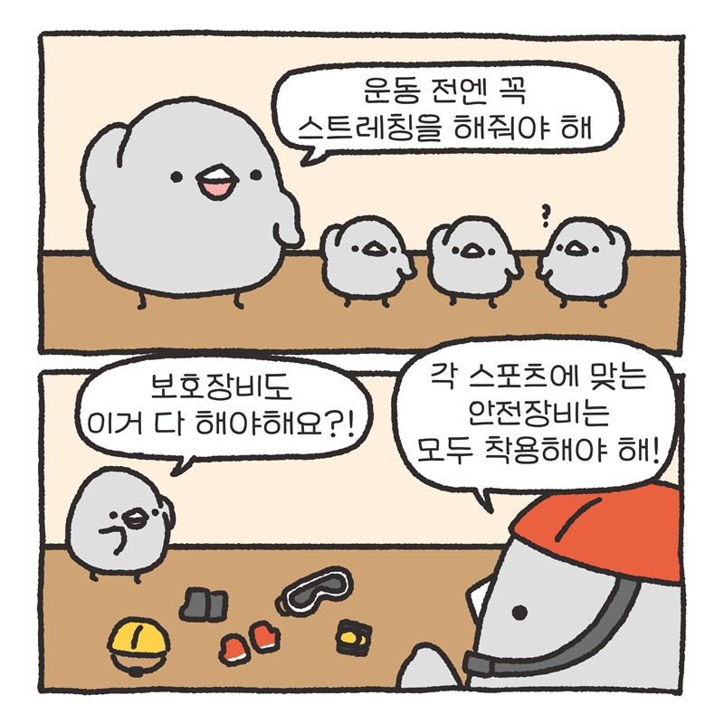 -운동 전엔 꼭 스트레칭을 해줘야 해 -보호장비도 이거 다 해야해요?! -당연하지! 각 스포츠에 맞는 안전장비는 모두 착용해야 해!