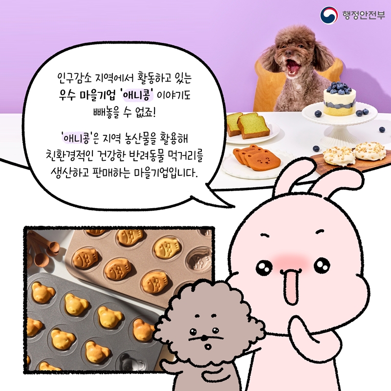 인구감소 지역에서 활동하고 있는 우수 마을기업 '애니콩' 이야기도 빼놓을 수 없죠! '애니콩'은 지역 농산물을 활용해 친환경적인 건강한 반려동물 먹거리를 생산하고 판매하는 마을기업입니다.