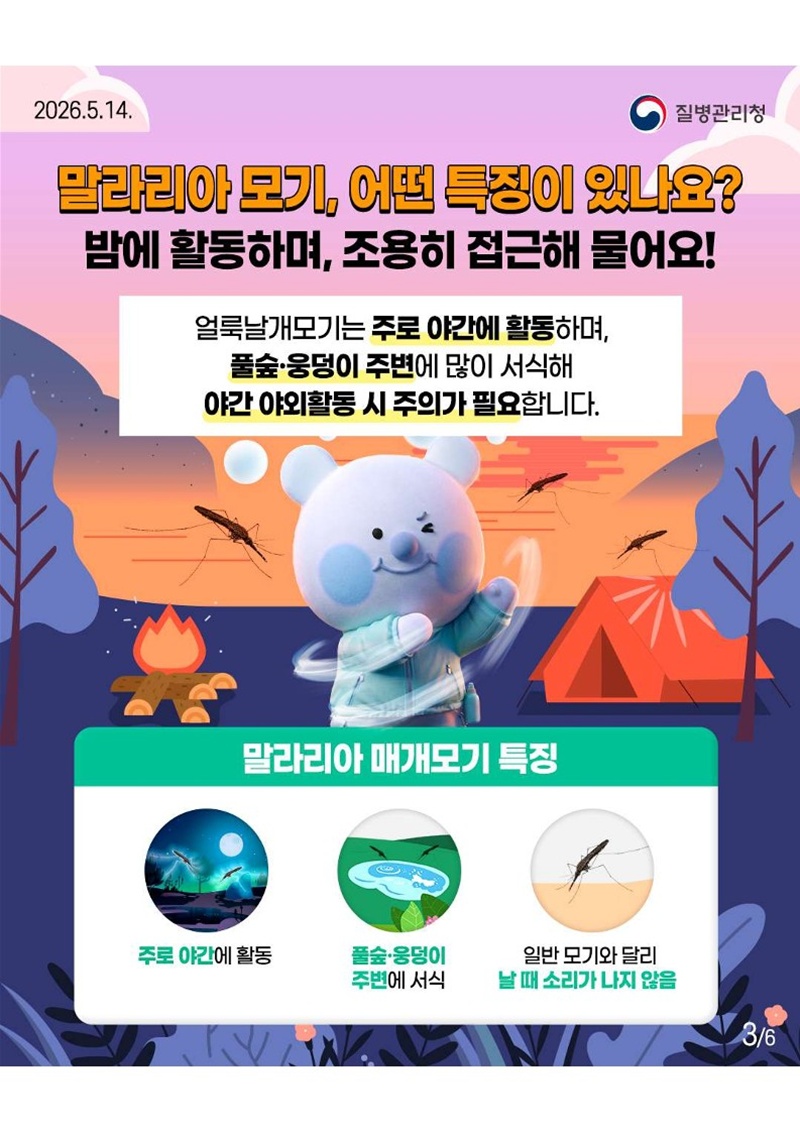 <말라리아 모기, 어떤 특징이 있나요? 밤에 활동하며, 조용히 접근해 물어요!>  얼룩날개모기는 주로 야간에 활동하며, 풀숲·웅덩이 주변에 많이 서식해 야간 야외활동 시 주의가 필요합니다.  *말라리리아 매개모기 특징: 주로 야간에 활동, 풀숲·웅덩이 주변에 서식, 일반 모기와 달리 날 때 소리가 나지 않음