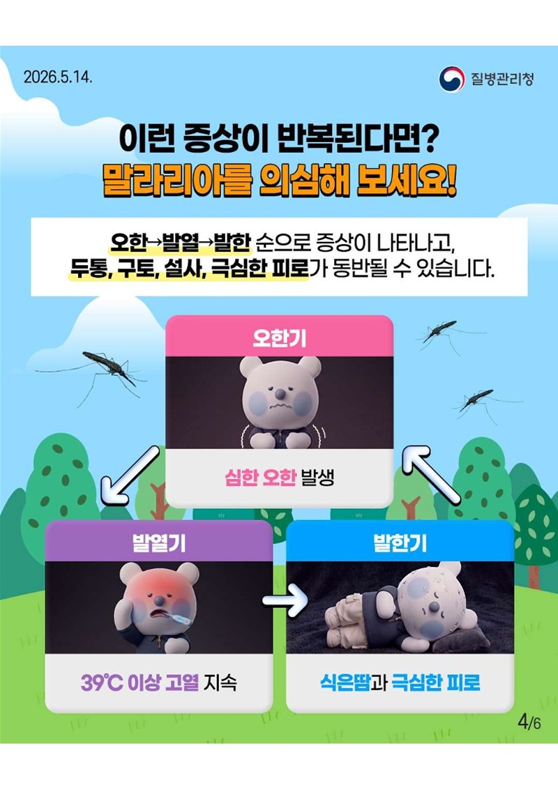 <이런 증상이 반복된다면? 말라리아를 의심해 보세요!>  오한→발열→발한 순으로 증상이 나타나고, 두통, 구토, 설사, 극심한 피로가 동반될 수 있습니다.  오한기(심한 오한 발생) → 발열기(39℃ 이상 고열 지속) → 발한기(식은땀과 극심한 피로)