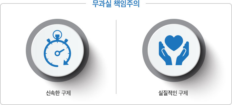 무과실 책임주의, 신속한 구제, 실질적인 구제