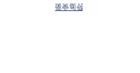정부혁신