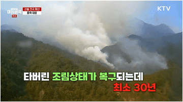 실수로 산불을 내도 처벌받습니다 - 행정안전부
