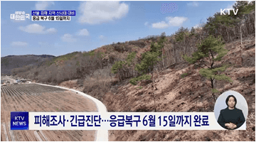 산불 피해 지역 산사태 대비···6월 15일까지 응급복구
