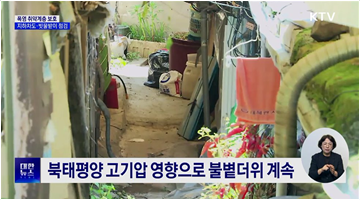 폭염 취약계층 보호···지하차도·빗물받이 점검