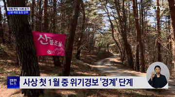 산불 피해 면적 16배 증가···산불 예방 동참 당부