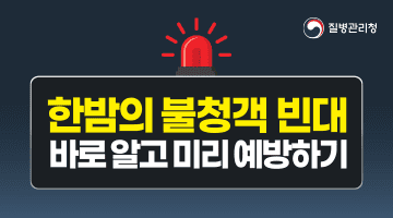 질병관리청 한밤의 불청객 빈대
바로 알고 미리 예방하기